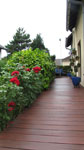 terrasse en bois